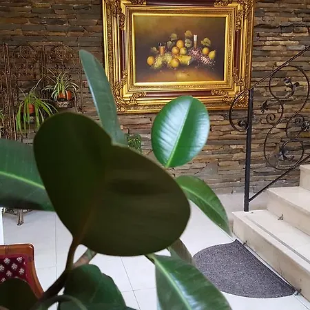Hotel Livia Tirana