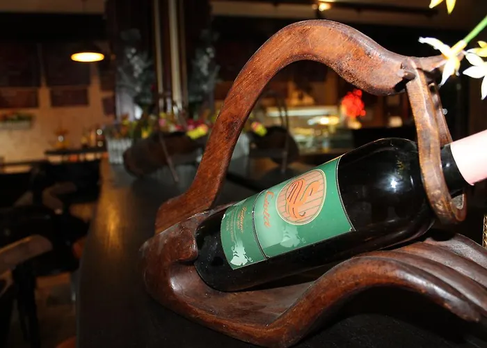 酒店 利维亚酒店